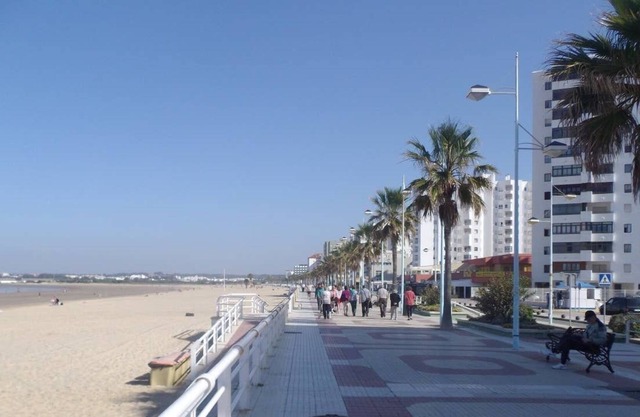First line and view of the beach. 4 rooms 80m². Very well placed. Andalusia.