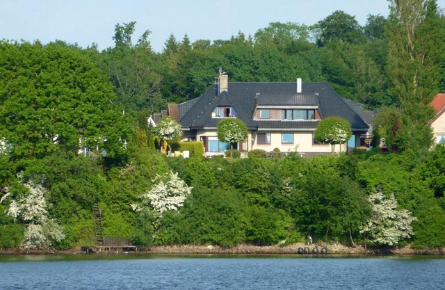 Fischreiher 1