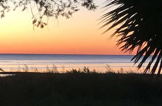 Fish Gills | Keaton Beach Vacation Rentals LLC | Florida Gulf Coast