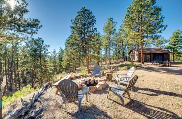 Fish, Hike & Sightsee: Lovely Florissant Cabin!