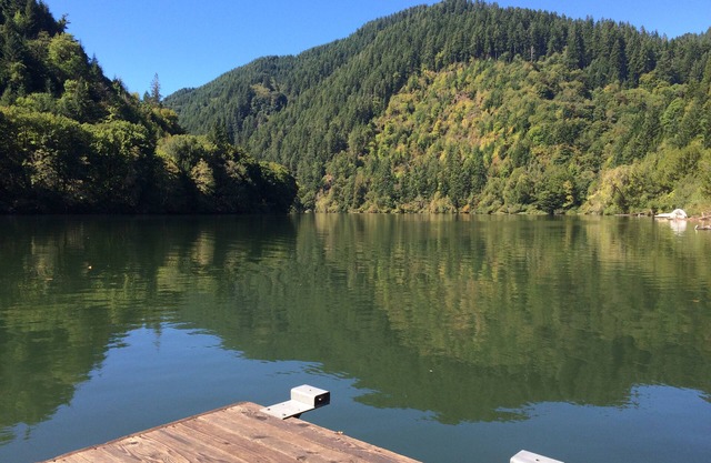 Fish, hunt or relax - Riverfront Cozy 2bd Cabin on Umpqua River fenced 1.5 acres