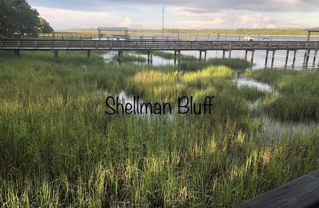 Fishing, or just hanging out in beautiful Shellman Bluff. minutes from Marina.