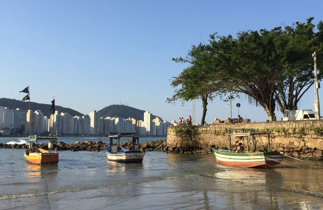 FIT GUARUJA WITH POOL 100 m. FROM BEACH