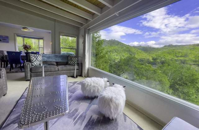 Fitch Mtn Lookout- Gorg & Comfy!Pets-Walkable Russian River-Spa under the stars!