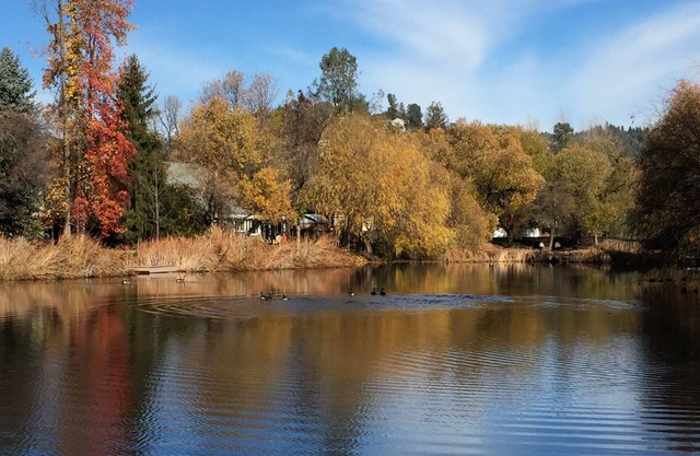 Five Bedroom Water Front Cabin