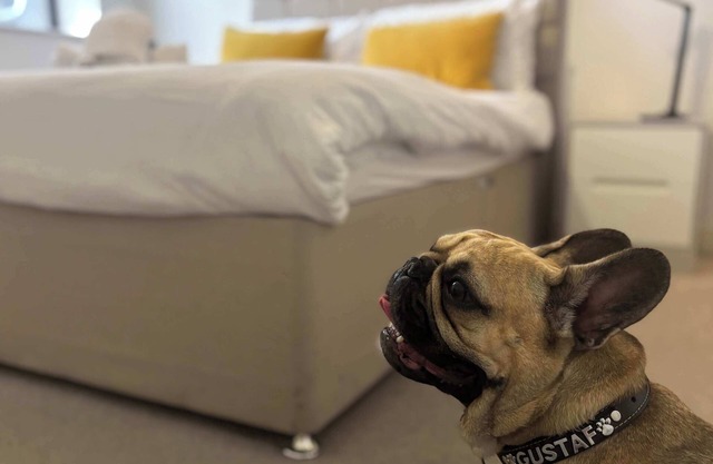 Five Ways Modern 1 bed with Parking, pet-friendly