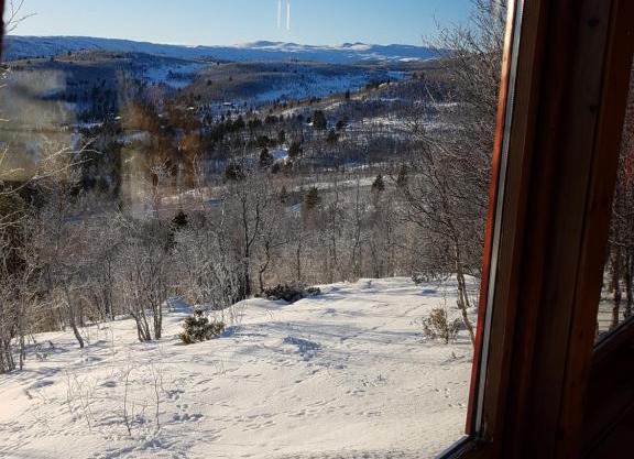 Fjellbu Two-bedroom Cottage