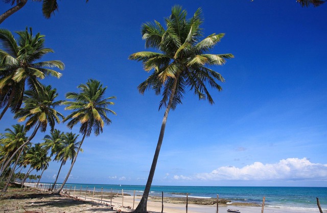 FLAT 2 QUARTOS CARNEIROS BEACH RESORT