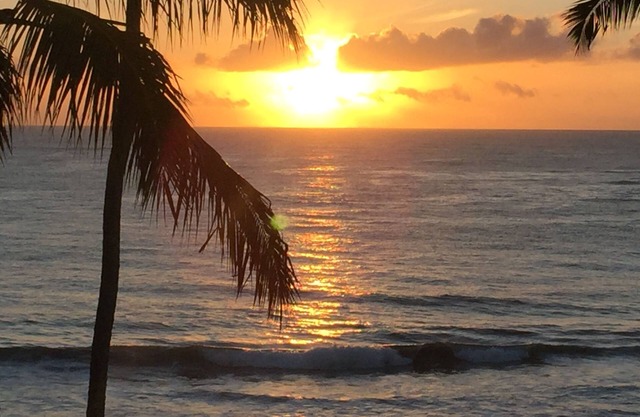 FLAT HIGH STANDARD BEACHFRONT PORTO DE GALINHAS - PE