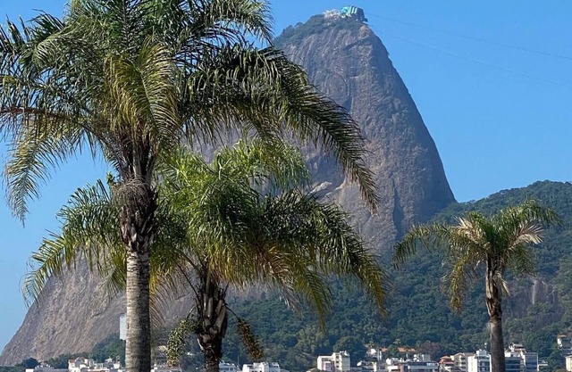 Flat Santos Dumont, close to the Consulate and Marina da Glória