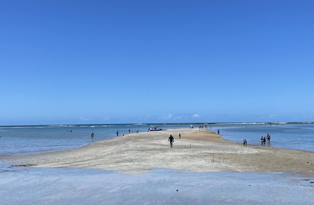 Flatssolemar