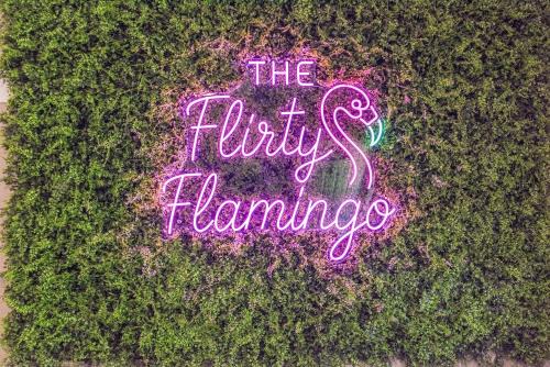 Flirty Flamingo