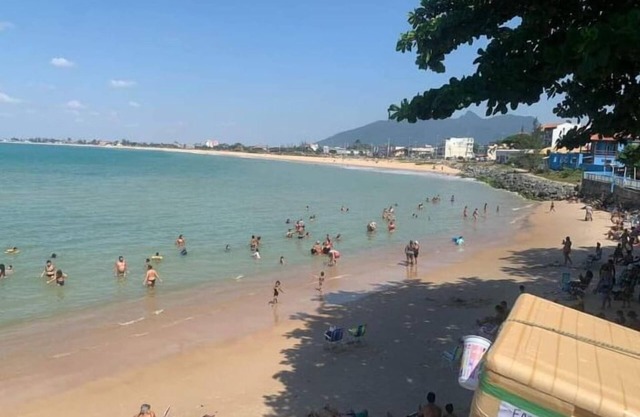 Flor do Caribe