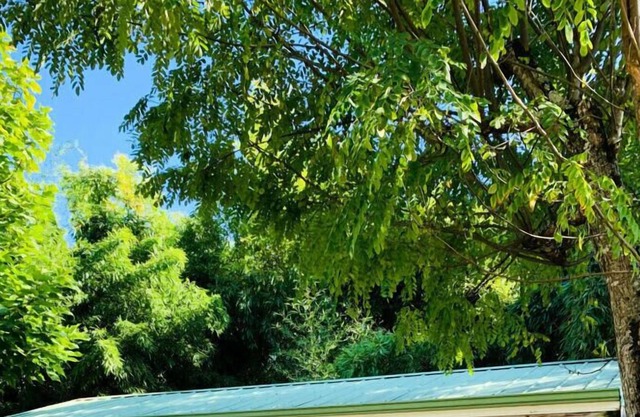 Flower le Tiradou*** campsite - O'hara 3-room mobile home for 4 people