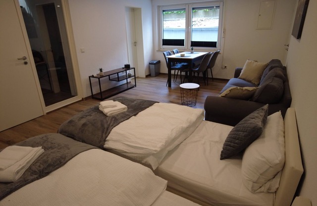 For 3 - box-spring beds, kitchen, internet, parking lot, stadium nearby
