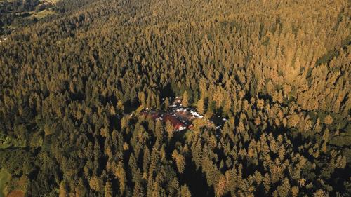 Forest Camp Val di Gresta