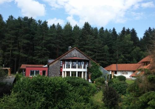 Forest Haven