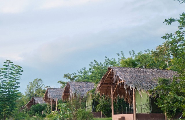 Forest Lodge Eco Camp