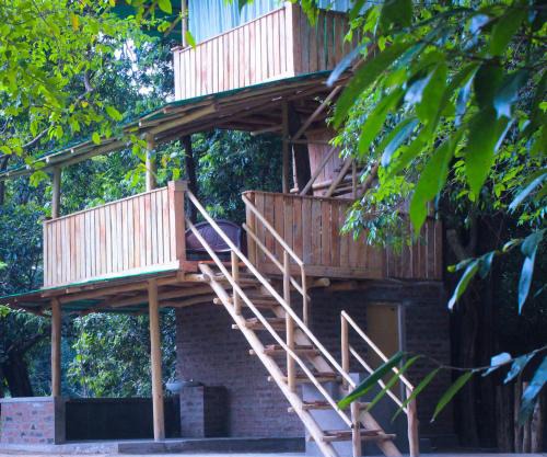 Forest Tree Top Holiday Resort