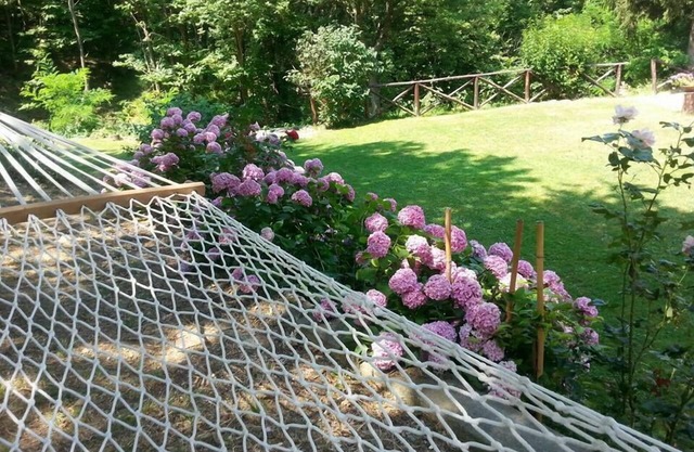 Forest View B&B
