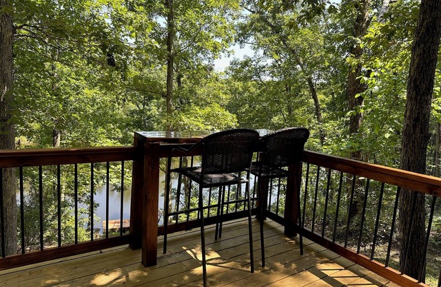Forested Oasis