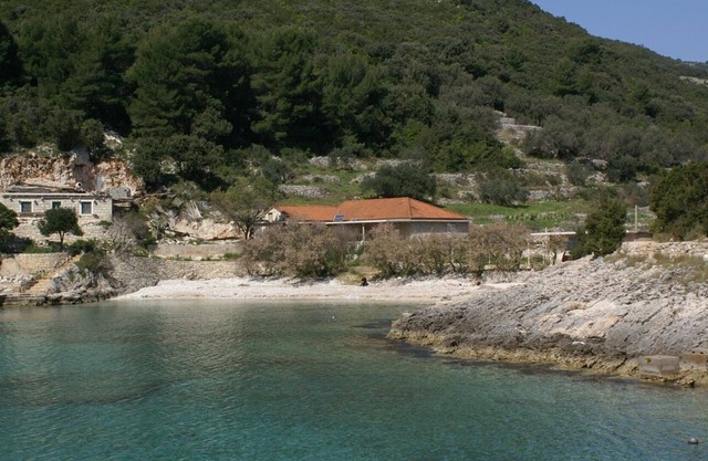 Four bedroom apartment near beach Cove Rasohatica, Korčula (A-4386-a)