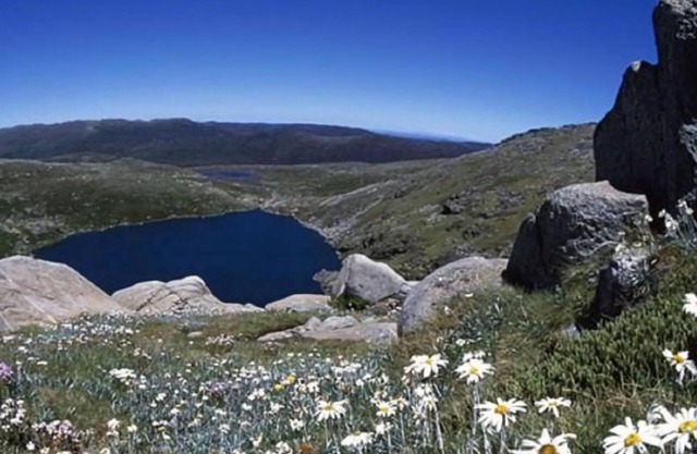 Four Mile Hut- Large Studio Apartment in Crackenback