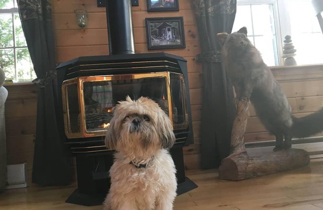 Fox Harbour Wilderness Lodge