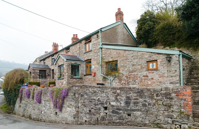 Foxglove Cottage beautiful views of Clydach Gorge