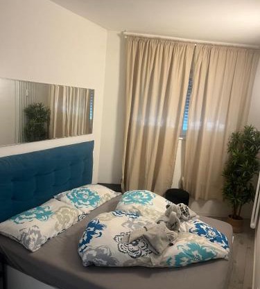 Franz home Wi-Fi AC 1 free parking