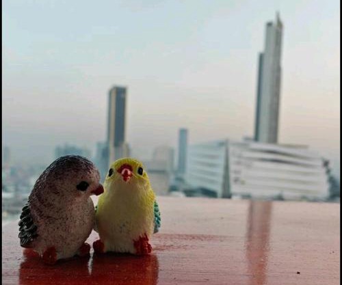 Free Airport Pick Up ! 12th Floor Cozy Studio Room, 5 mins walk to IconSiam & BTS