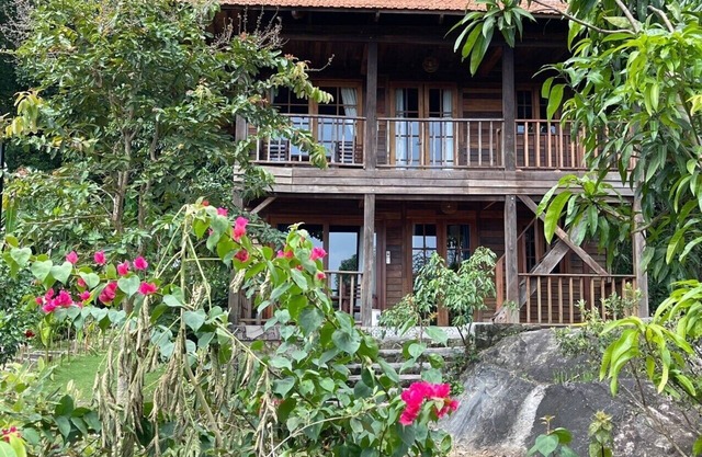 Freedom Jungle Resort