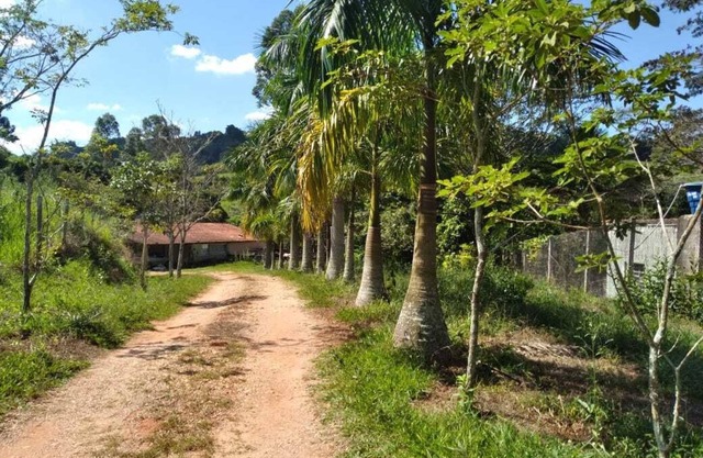 Frei Damião Farm