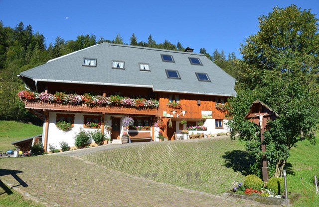 Freiburg, Southern Black Forest, Schauinsland Hofsgrund, farm houses,