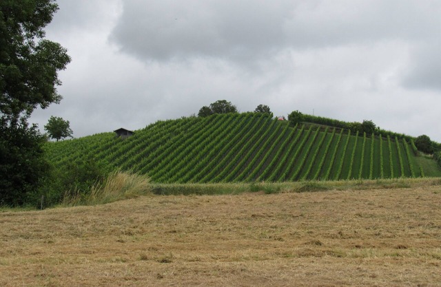 Freistehendes Haus am Fuße des Weinbergs