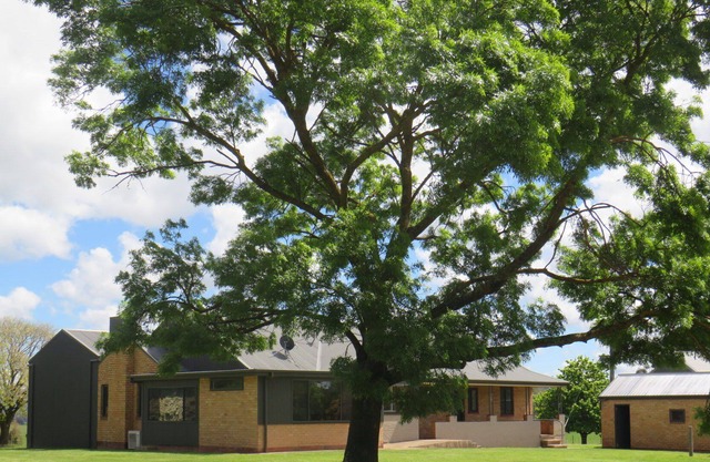 Friday's - Family Accommodation