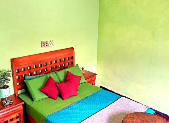 Frog room Taxco downtown