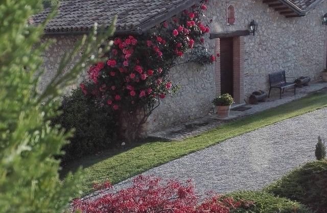 From old hay shed to beautiful stone outbuilding