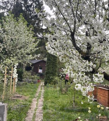 Fußball-Hochburg! Gartenparadies für Campen/Zelten