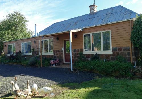 Fulham Homestead Historic rural large 3 bedroom Guesthouse