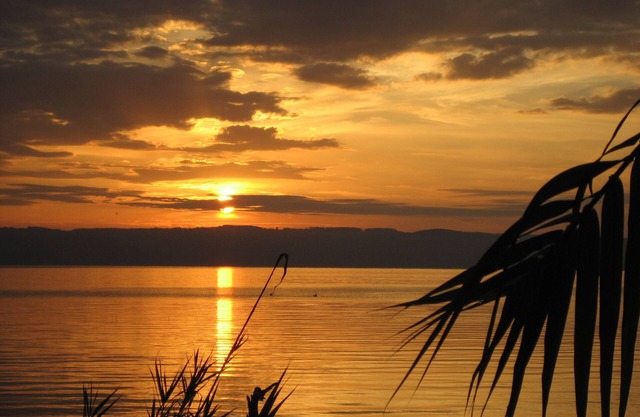 Fully equipped holiday cottage in front of the Lake, surrounded by olive trees