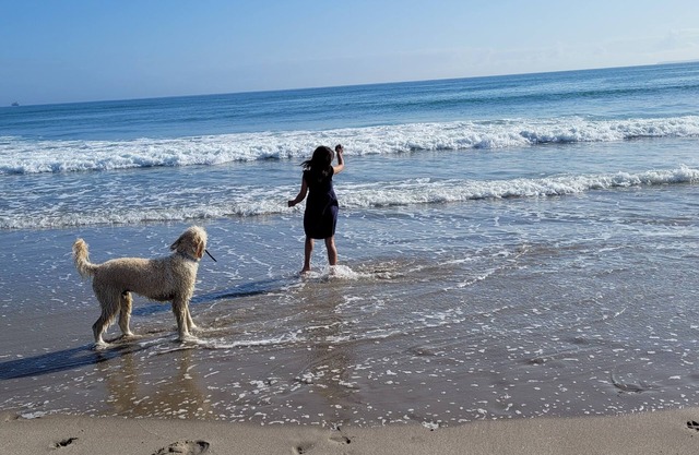 Fully fenced. Family and pet friendly.nLocated close to Beach and shoppingn