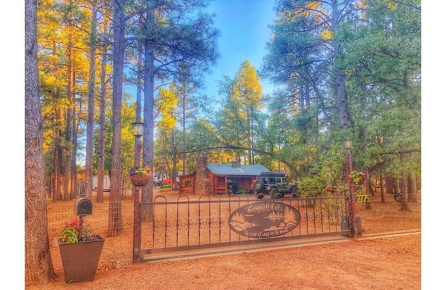 Fully fenced yard, dogs welcome!