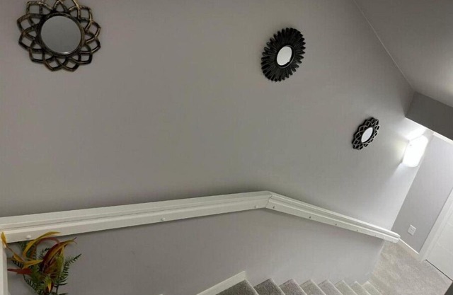Fully Furnished Basement Suite