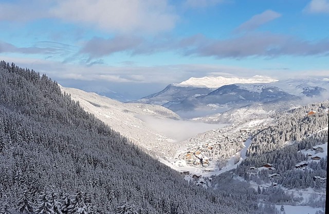 Fully renovated apartment, ski-in, 55 m2, superb mountain view