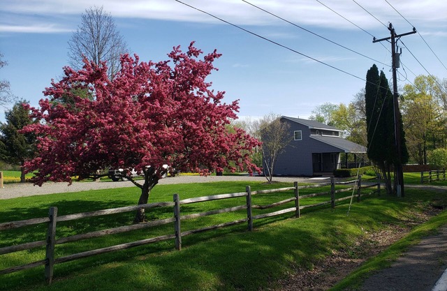 Fully Renovated rural cottage in the perfect spot!