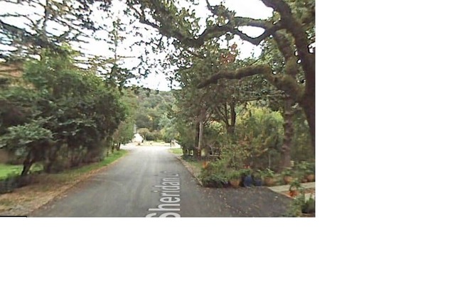 Fun Art Studio, Quiet Wooded Cul-de-Sac area