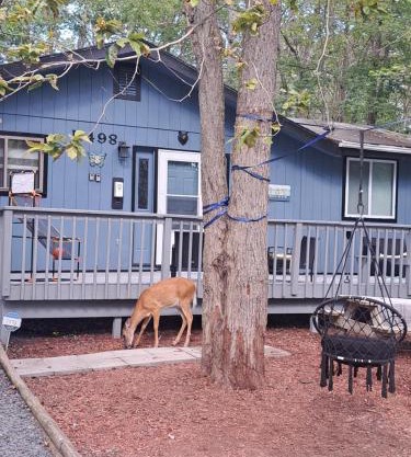 Fun Home in Pocono with Gameroom-Firpit-BBQ Grill-TV and AC in all rooms