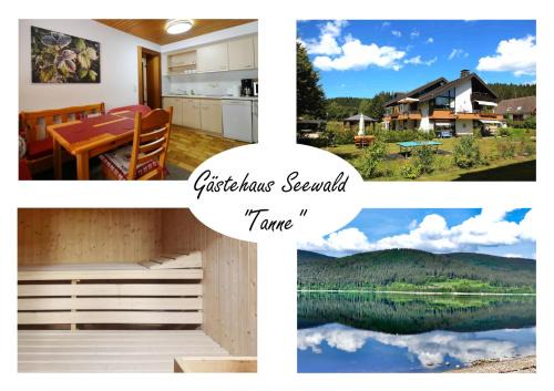 Gästehaus Seewald- Ferienwohnung 3 "Tanne", Schluchsee, Blasiwald