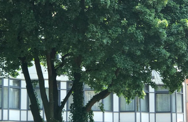Gästezimmer Klein und Fein für nach dem Wein
